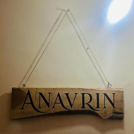 דירות ניו דלהי Anavrin Art House מראה חיצוני תמונה