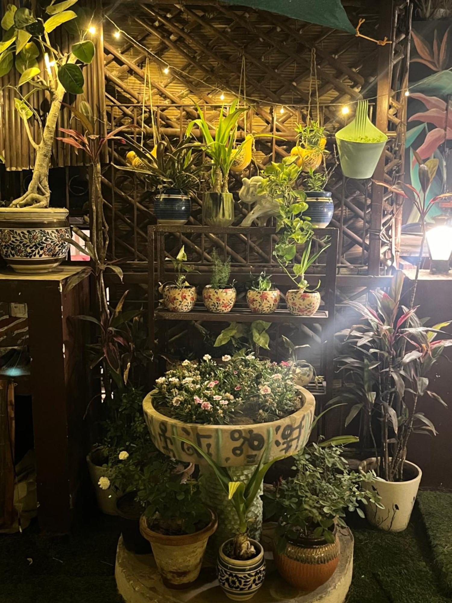 דירות ניו דלהי Anavrin Art House מראה חיצוני תמונה