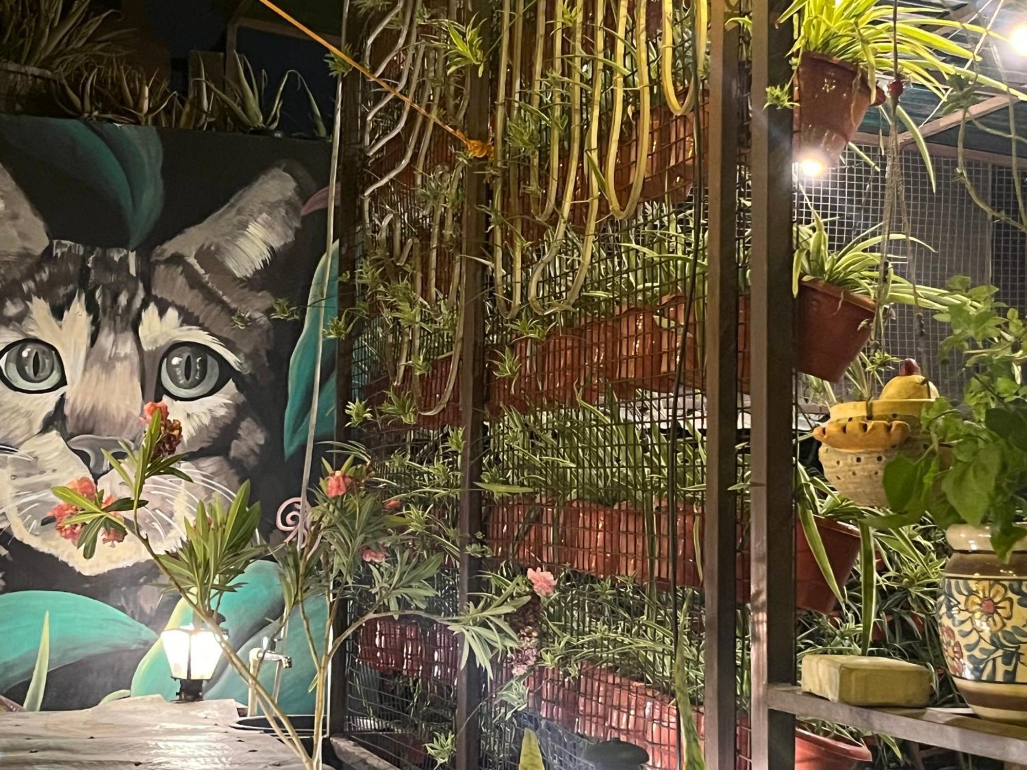 דירות ניו דלהי Anavrin Art House מראה חיצוני תמונה